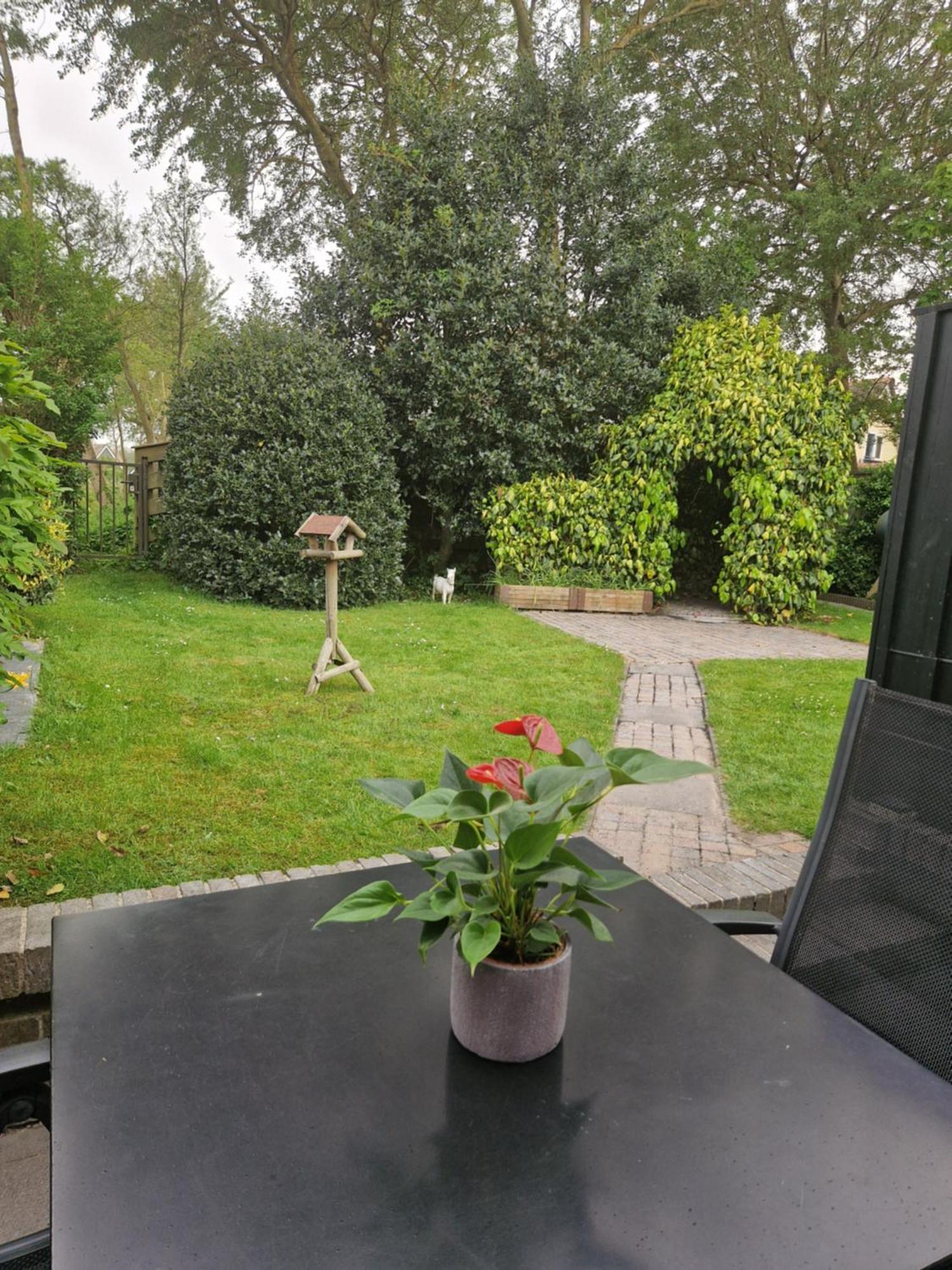 Villa Zeelucht Texel à De Koog  Extérieur photo