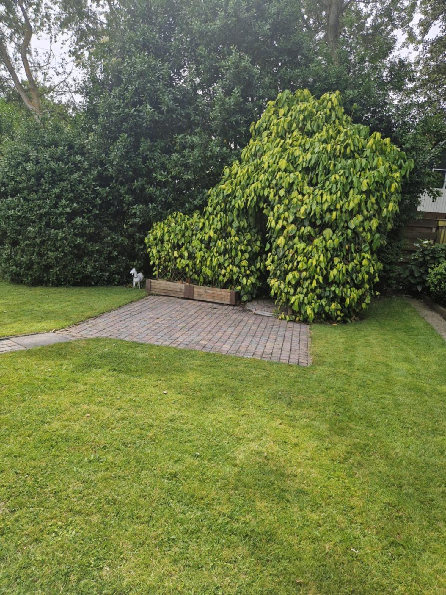 Villa Zeelucht Texel à De Koog  Extérieur photo